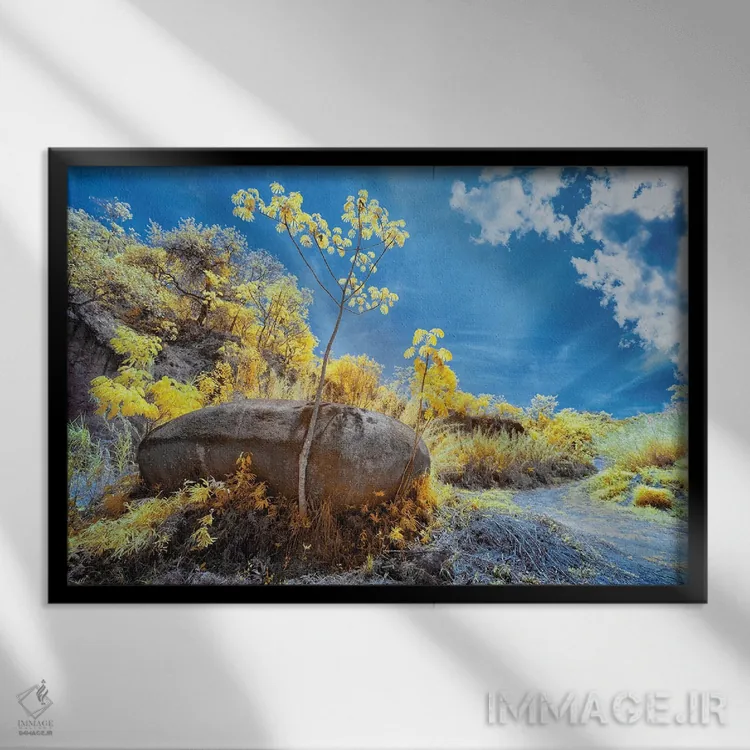 تابلو دکوراتیو طبیعت ۳ اثر گلاوکو منهالی - نمای قابدار مشکی