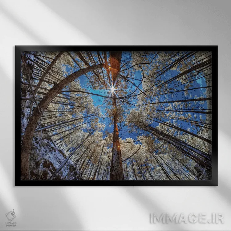 تابلو دکوراتیو یک خورشید اثر گلاوکو منهالی - نمای قابدار مشکی