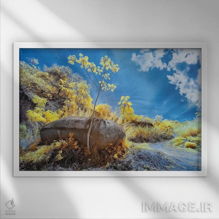 تابلو دکوراتیو طبیعت ۳ اثر گلاوکو منهالی - نمای قابدار سفید