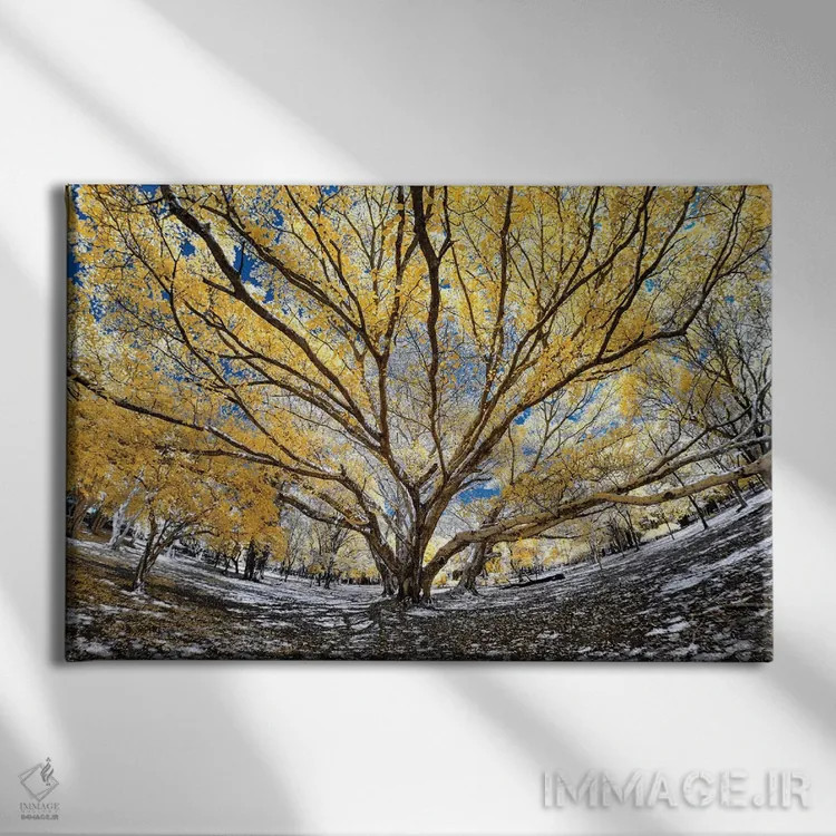تابلو دکوراتیو درخت بزرگ اثر گلاوکو منهالی - نمای روبهرو روی دیوار