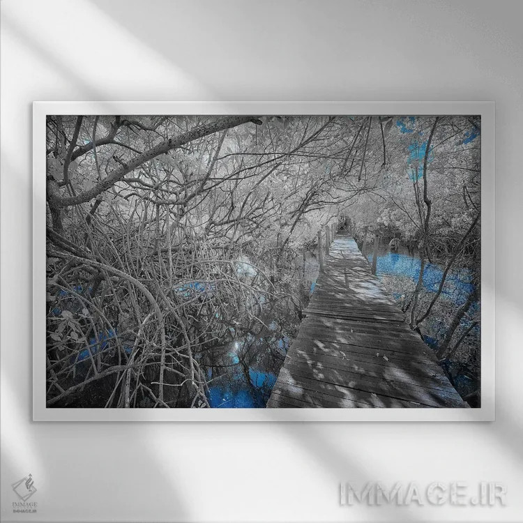 تابلو دکوراتیو پیاده رو چوبی اثر گلاوکو منهالی - نمای قابدار سفید