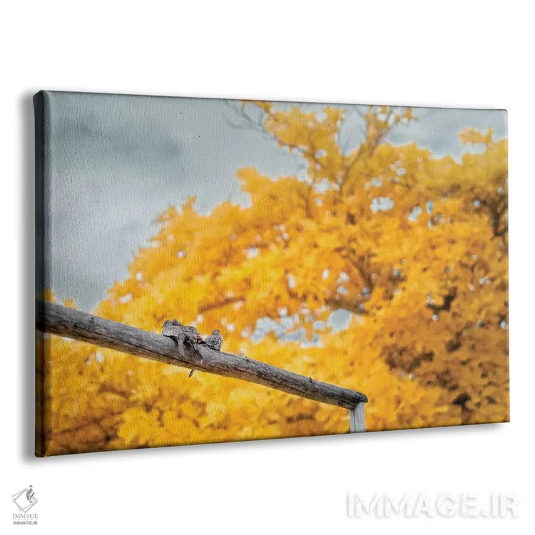 تابلو دکوراتیو کبوترها اثر گلاوکو منهالی - نمای پرسپکتیو محصول