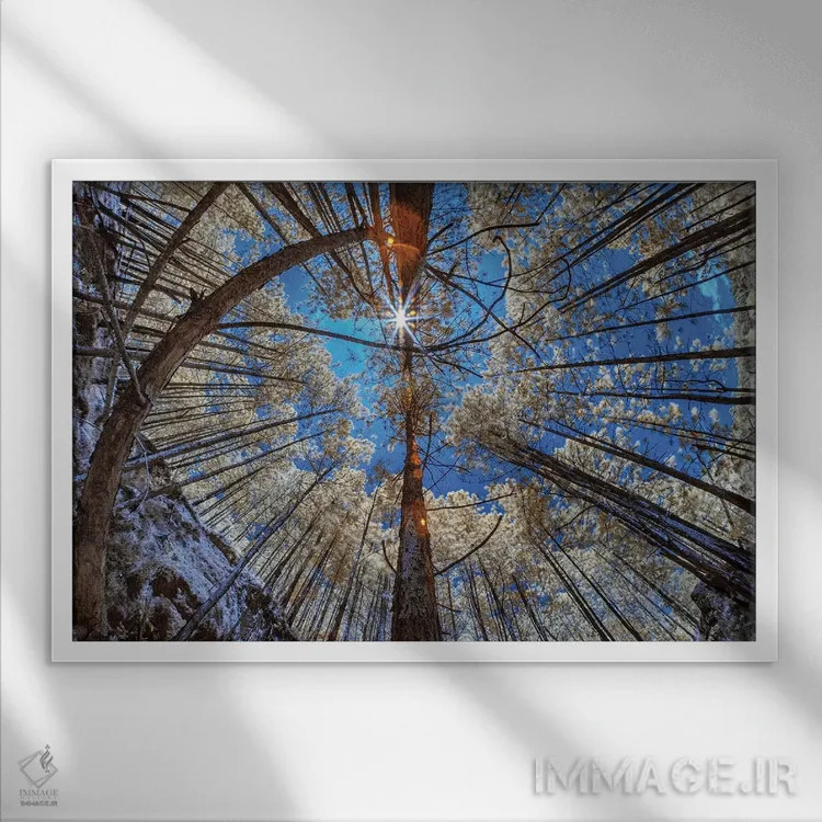 تابلو دکوراتیو یک خورشید اثر گلاوکو منهالی - نمای قابدار سفید