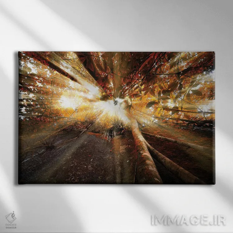 تابلو دکوراتیو تابش نور اثر گلاوکو منهالی - نمای روبهرو روی دیوار