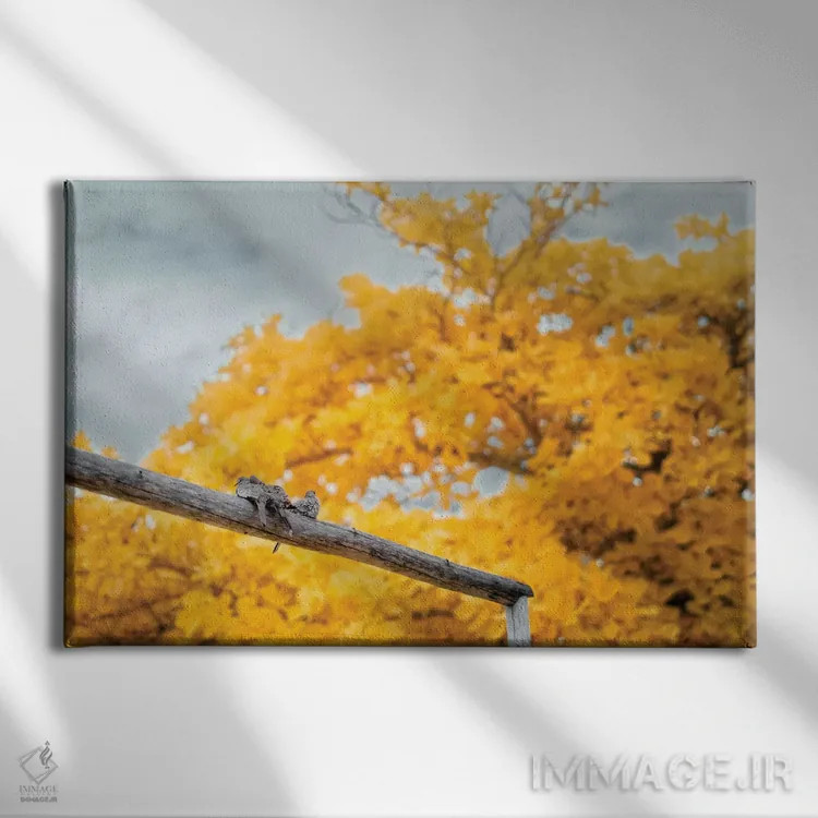 تابلو دکوراتیو کبوترها اثر گلاوکو منهالی - نمای روبهرو روی دیوار