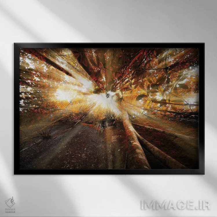 تابلو دکوراتیو تابش نور اثر گلاوکو منهالی - نمای قابدار مشکی