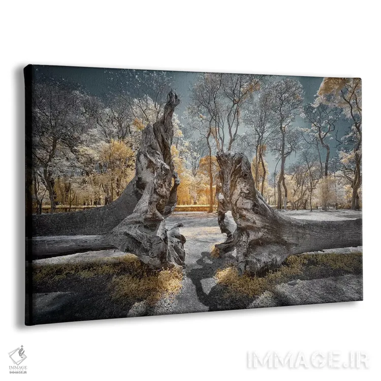 تابلو دکوراتیو جداسازی اثر گلاوکو منهالی - نمای پرسپکتیو محصول