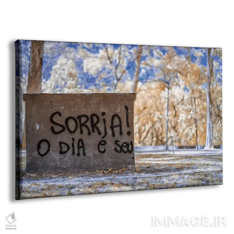 تابلو دکوراتیو لبخند بزن؛ روز مال توست اثر گلاوکو منهالی - نمای پرسپکتیو محصول