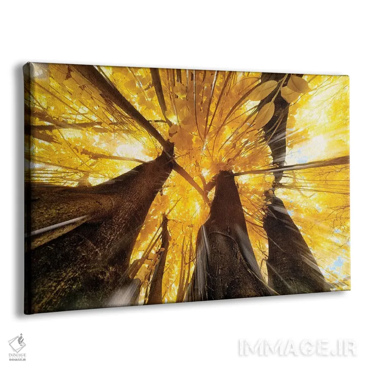 تابلو دکوراتیو پرتو خورشید اثر گلاوکو منهالی - نمای پرسپکتیو محصول