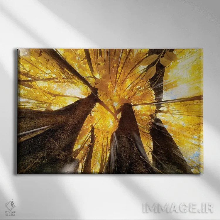 تابلو دکوراتیو پرتو خورشید اثر گلاوکو منهالی - نمای روبهرو روی دیوار
