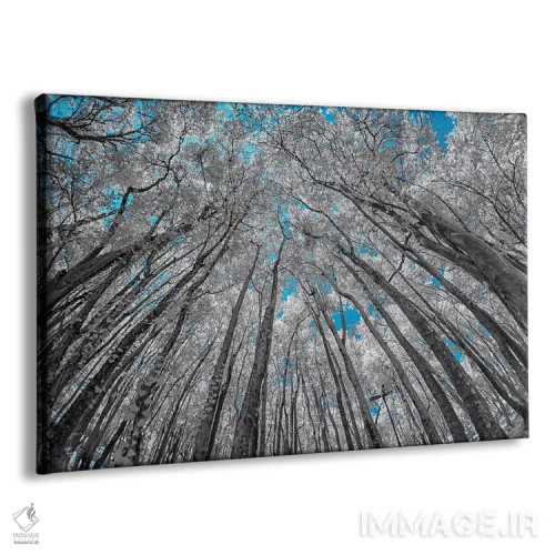 تابلو دکوراتیو نمای بالا اثر گلاوکو منهالی - نمای پرسپکتیو محصول