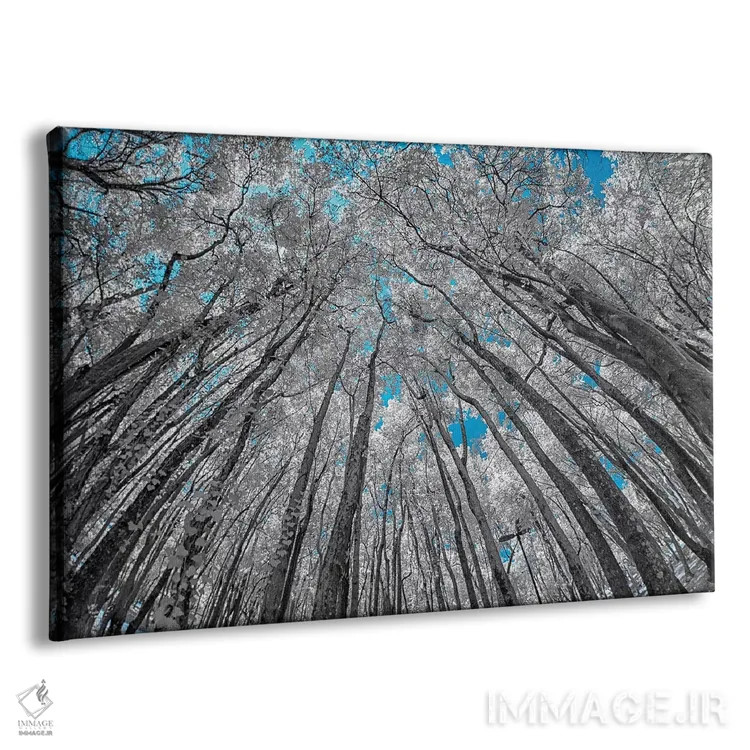 تابلو دکوراتیو نمای بالا اثر گلاوکو منهالی - نمای پرسپکتیو محصول