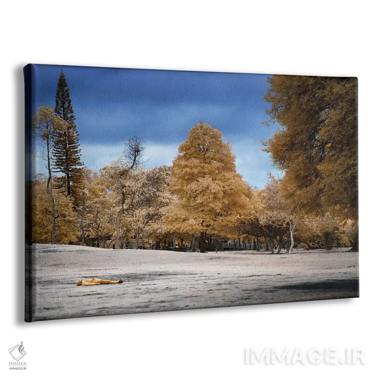 تابلو دکوراتیو مرد دراز کشیده اثر گلاوکو منهالی - نمای پرسپکتیو محصول