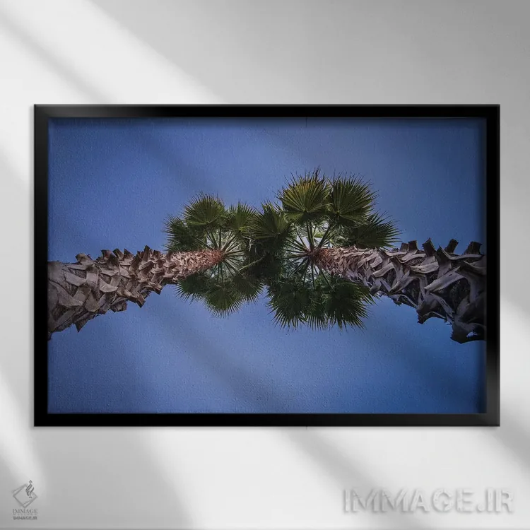 تابلو دکوراتیو بالا اثر گلاوکو منهالی - نمای قابدار مشکی