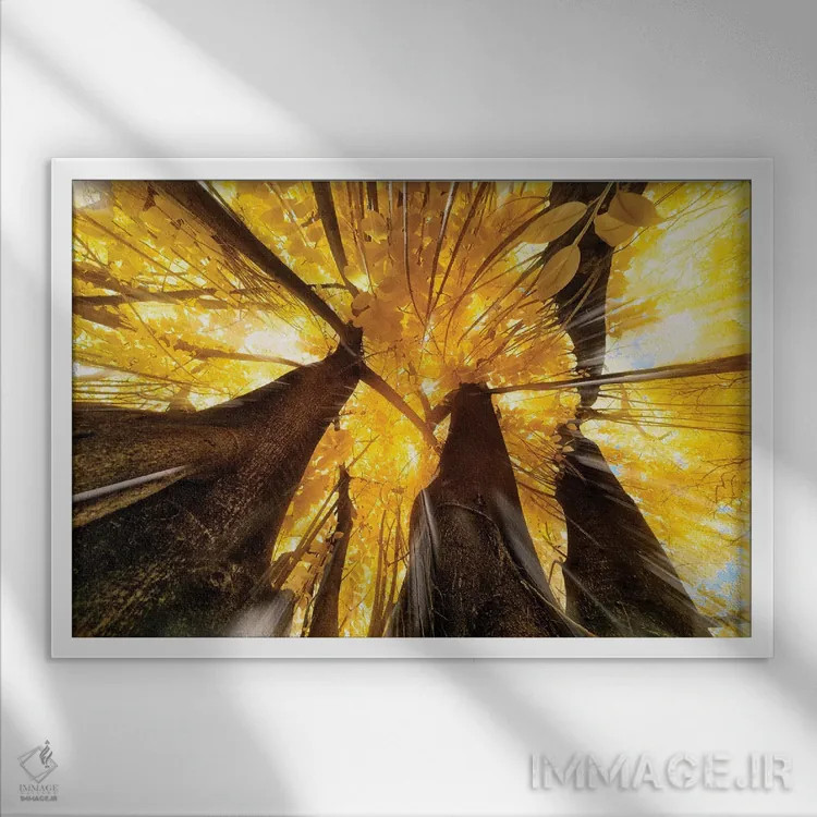 تابلو دکوراتیو پرتو خورشید اثر گلاوکو منهالی - نمای قابدار سفید