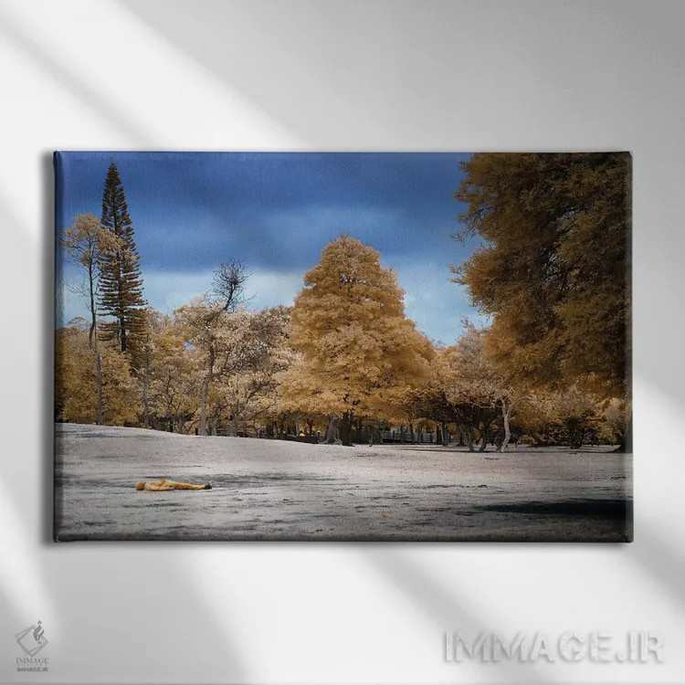 تابلو دکوراتیو مرد دراز کشیده اثر گلاوکو منهالی - نمای روبهرو روی دیوار