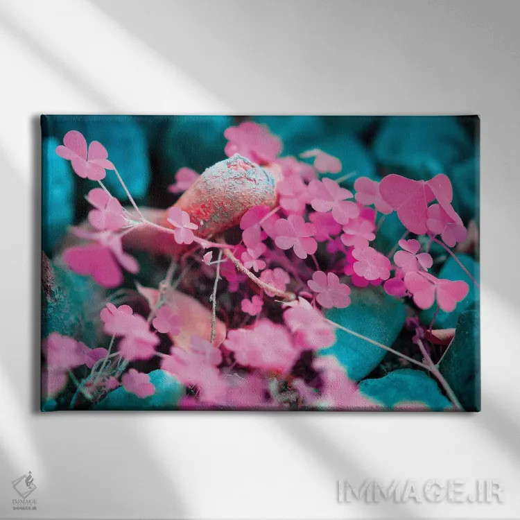 تابلو دکوراتیو خوش شانس اثر گلاوکو منهالی - نمای روبهرو روی دیوار