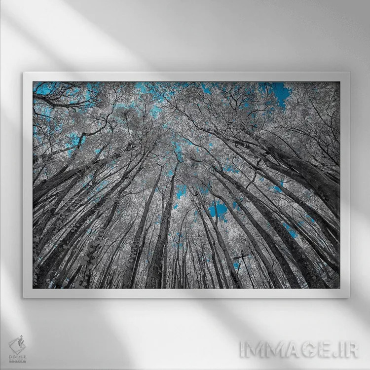 تابلو دکوراتیو نمای بالا اثر گلاوکو منهالی - نمای قابدار سفید