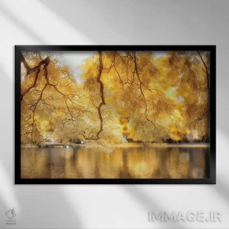تابلو دکوراتیو برگ های زرد اثر گلاوکو منهالی - نمای قابدار مشکی