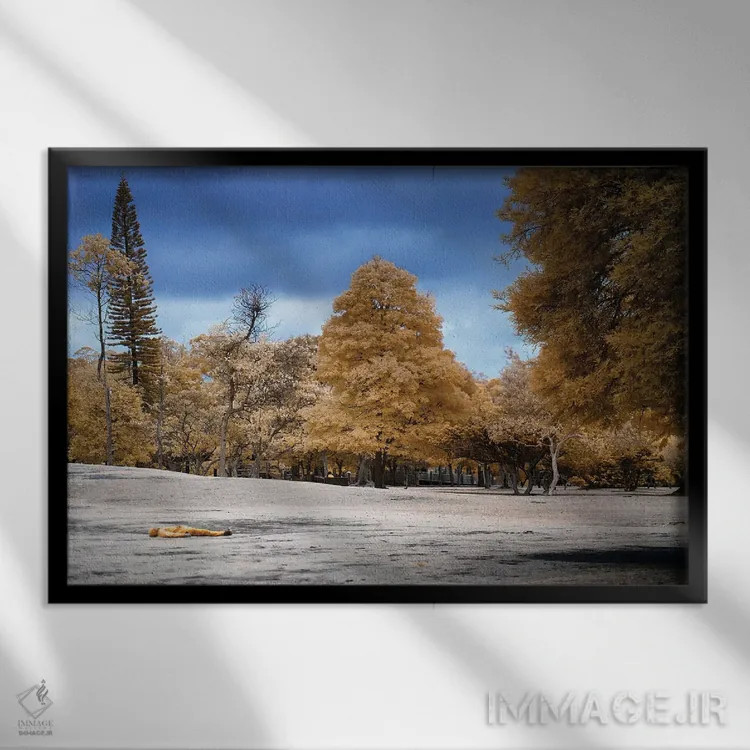 تابلو دکوراتیو مرد دراز کشیده اثر گلاوکو منهالی - نمای قابدار مشکی