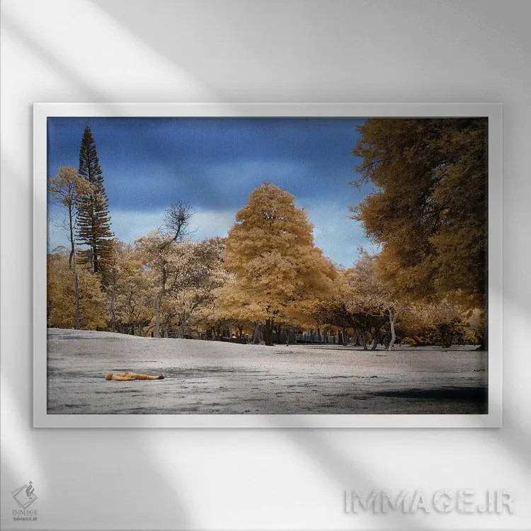 تابلو دکوراتیو مرد دراز کشیده اثر گلاوکو منهالی - نمای قابدار سفید