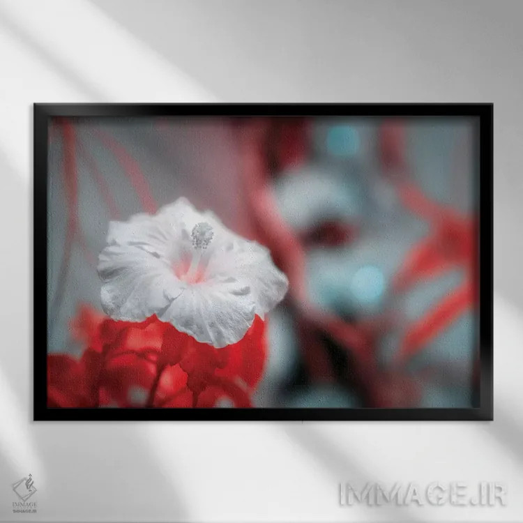 تابلو دکوراتیو گل اثر گلاوکو منهالی - نمای قابدار مشکی
