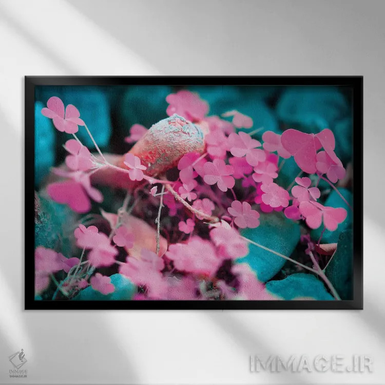 تابلو دکوراتیو خوش شانس اثر گلاوکو منهالی - نمای قابدار مشکی