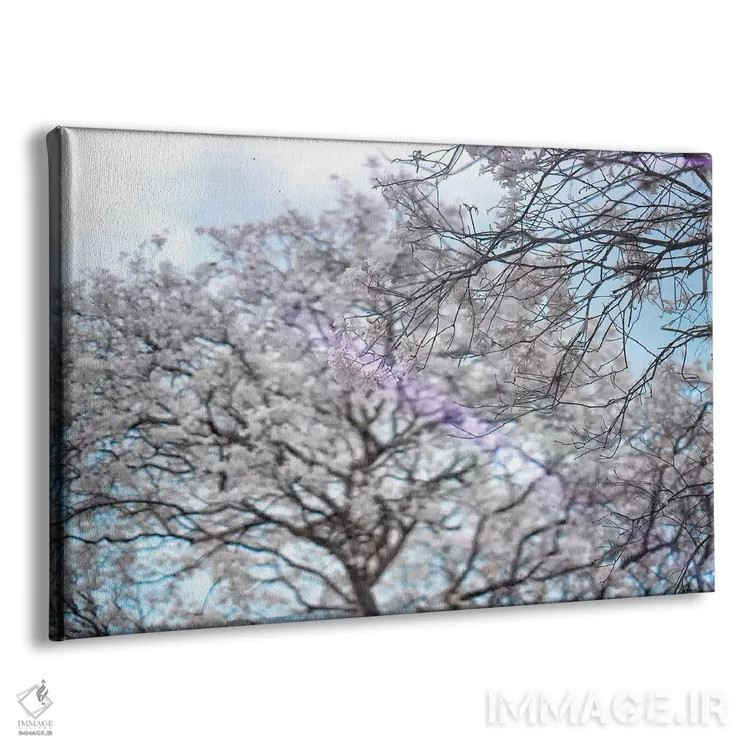 تابلو دکوراتیو درختان اثر گلاوکو منهالی - نمای پرسپکتیو محصول