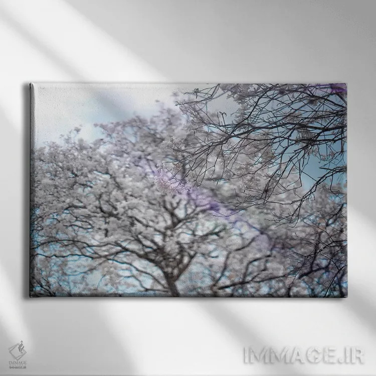 تابلو دکوراتیو درختان اثر گلاوکو منهالی - نمای روبهرو روی دیوار