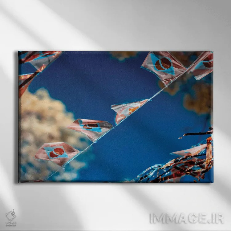 تابلو دکوراتیو پرچم برزیل اثر گلاوکو منهالی - نمای روبهرو روی دیوار