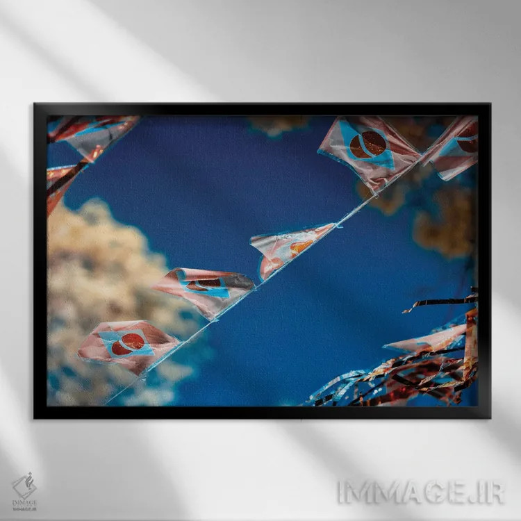 تابلو دکوراتیو پرچم برزیل اثر گلاوکو منهالی - نمای قابدار مشکی