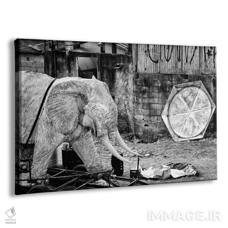 تابلو دکوراتیو عکاسی خیابانی ۴۵ اثر گلاوکو منهالی - نمای پرسپکتیو محصول