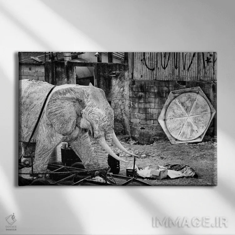 تابلو دکوراتیو عکاسی خیابانی ۴۵ اثر گلاوکو منهالی - نمای روبهرو روی دیوار