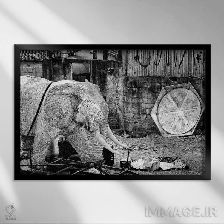 تابلو دکوراتیو عکاسی خیابانی ۴۵ اثر گلاوکو منهالی - نمای قابدار مشکی