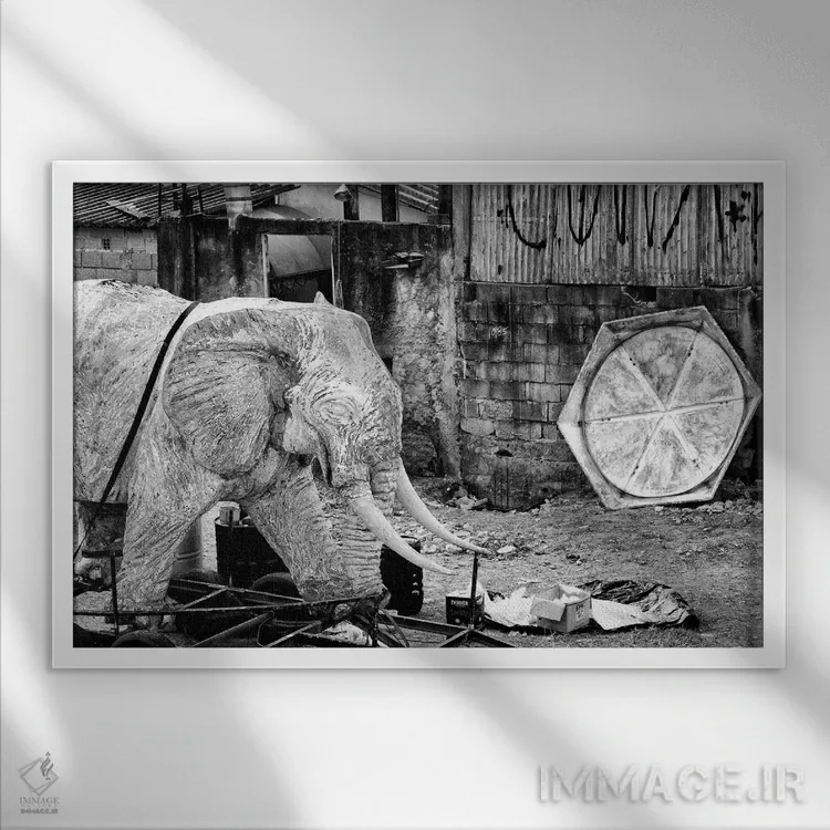 تابلو دکوراتیو عکاسی خیابانی ۴۵ اثر گلاوکو منهالی - نمای قابدار سفید