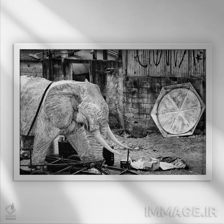 تابلو دکوراتیو عکاسی خیابانی ۴۵ اثر گلاوکو منهالی - نمای قابدار سفید