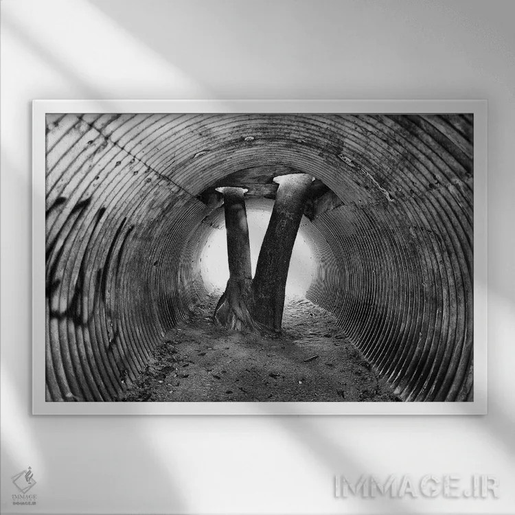 تابلو دکوراتیو عکاسی خیابانی ۴۸ اثر گلاوکو منهالی - نمای قابدار سفید