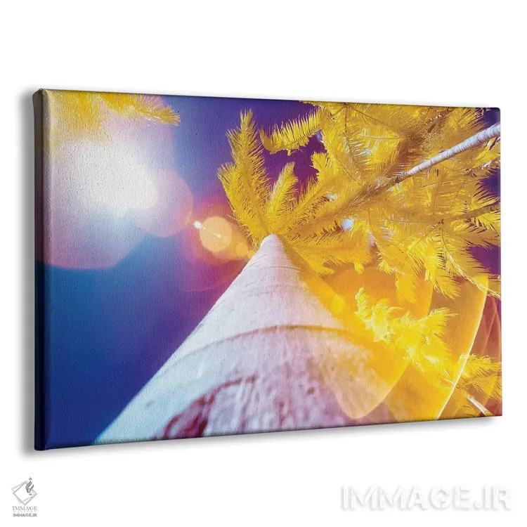 تابلو دکوراتیو درخت نارگیل اثر گلاوکو منهالی - نمای پرسپکتیو محصول