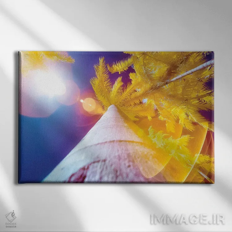 تابلو دکوراتیو درخت نارگیل اثر گلاوکو منهالی - نمای روبهرو روی دیوار