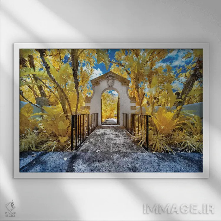 تابلو دکوراتیو میامی مادون قرمز ۳ اثر گلاوکو منهالی - نمای قابدار سفید