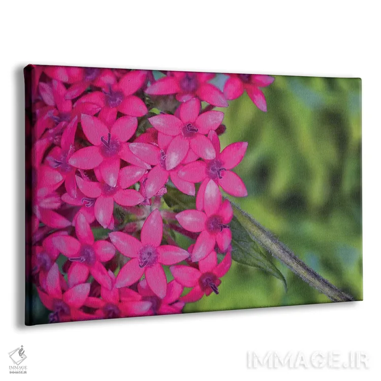 تابلو دکوراتیو نمای نزدیک گل های ادریس صورتی اثر گلاوکو منهالی - نمای پرسپکتیو محصول