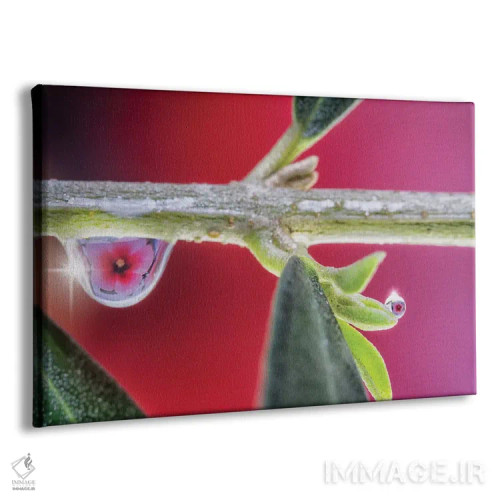 تابلو دکوراتیو ماکروی یک گل اثر گلاوکو منهالی - نمای پرسپکتیو محصول