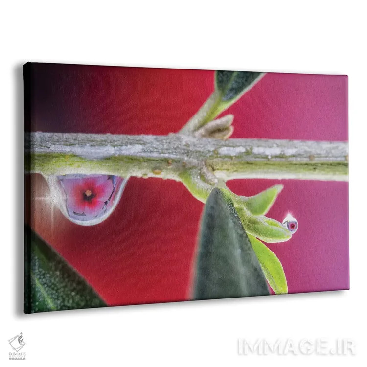 تابلو دکوراتیو ماکروی یک گل اثر گلاوکو منهالی - نمای پرسپکتیو محصول