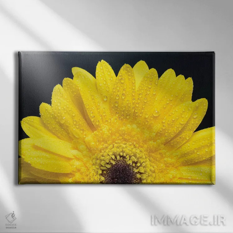 تابلو دکوراتیو ژربر دیزی زرد اثر گلاوکو منهالی - نمای روبهرو روی دیوار