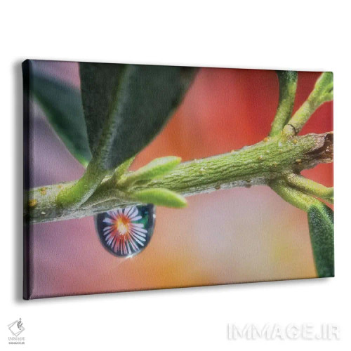 تابلو دکوراتیو ماکرو قطره آب روی برگ اثر گلاوکو منهالی - نمای پرسپکتیو محصول