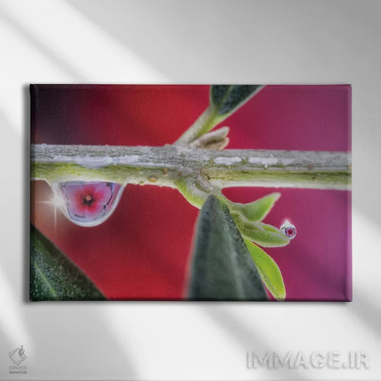 تابلو دکوراتیو ماکروی یک گل اثر گلاوکو منهالی - نمای روبهرو روی دیوار