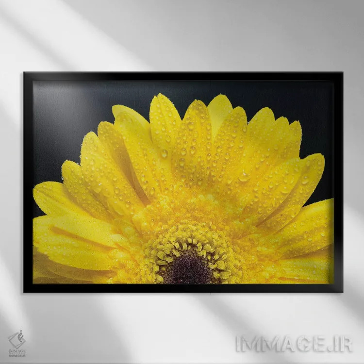 تابلو دکوراتیو ژربر دیزی زرد اثر گلاوکو منهالی - نمای قابدار مشکی