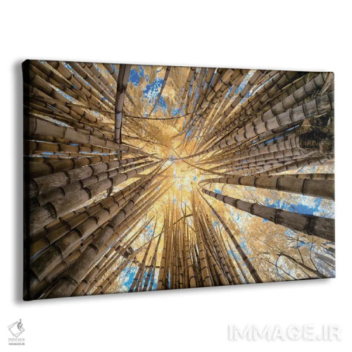تابلو دکوراتیو بامبو اثر گلاوکو منهالی - نمای پرسپکتیو محصول