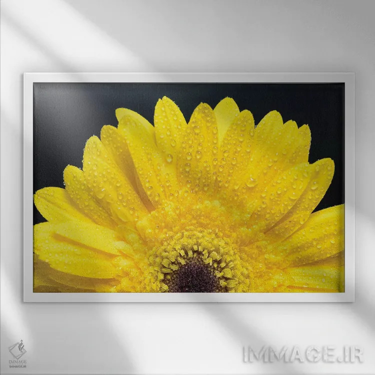 تابلو دکوراتیو ژربر دیزی زرد اثر گلاوکو منهالی - نمای قابدار سفید