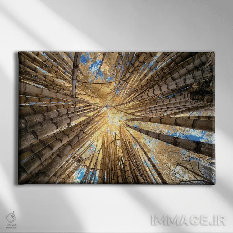 تابلو دکوراتیو بامبو اثر گلاوکو منهالی - نمای روبهرو روی دیوار